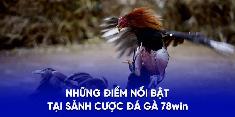 Những điểm nổi bật tại sảnh cược đá gà 78win