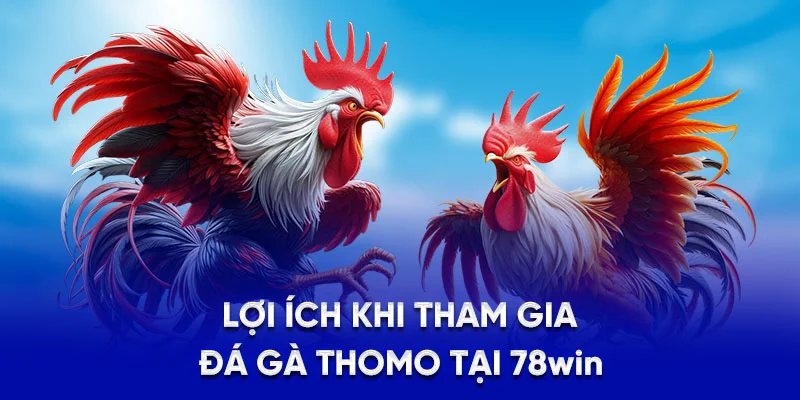 Đá Gà Thomo 78WIN - Giới Thiệu Sân Chơi Trực Tuyến Uy Tín 4 Lợi ích khi tham gia đá gà Thomo tại 78WIN